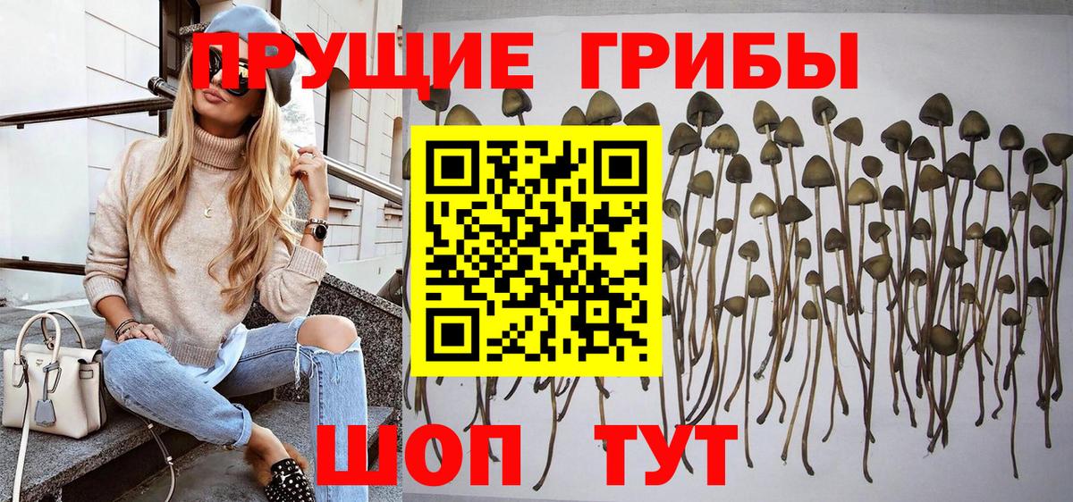 Галлюциногенные грибы Cubensis Алапаевск