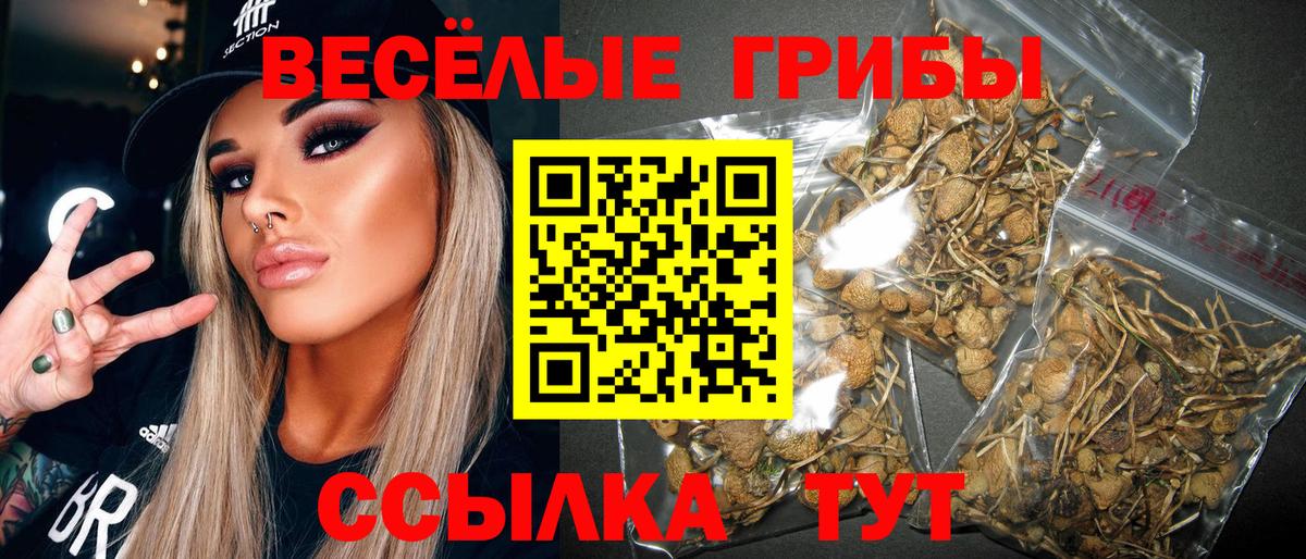 Псилоцибиновые грибы MAGIC MUSHROOMS  Галлюциногенные грибы ЛСД  Алапаевск  Вход с VPN 